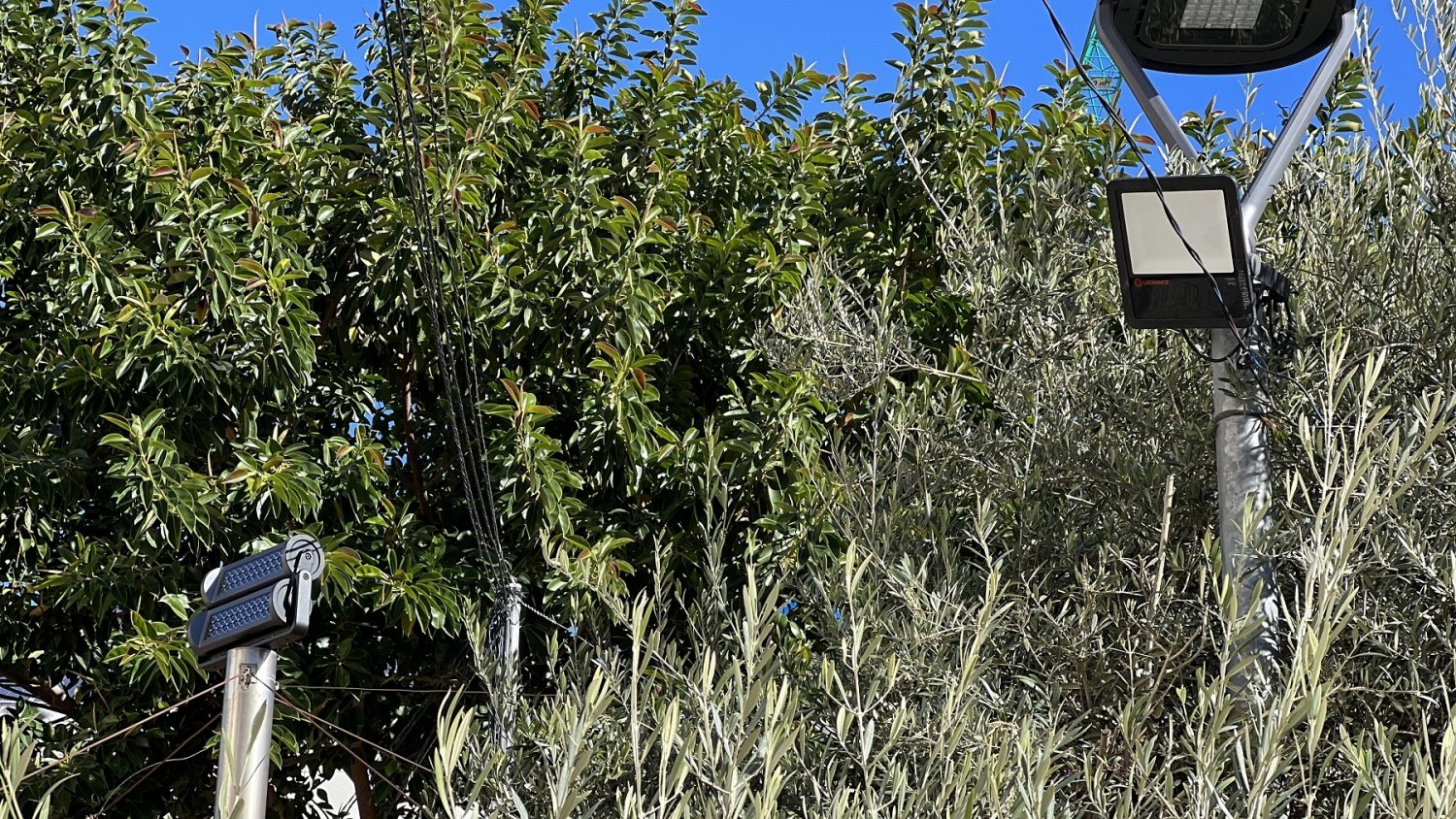 Fuengirola ahorra más del 50% del coste del alumbrado del parque y plaza de España
