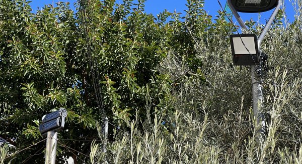 Fuengirola ahorra más del 50% del coste del alumbrado del parque y plaza de España