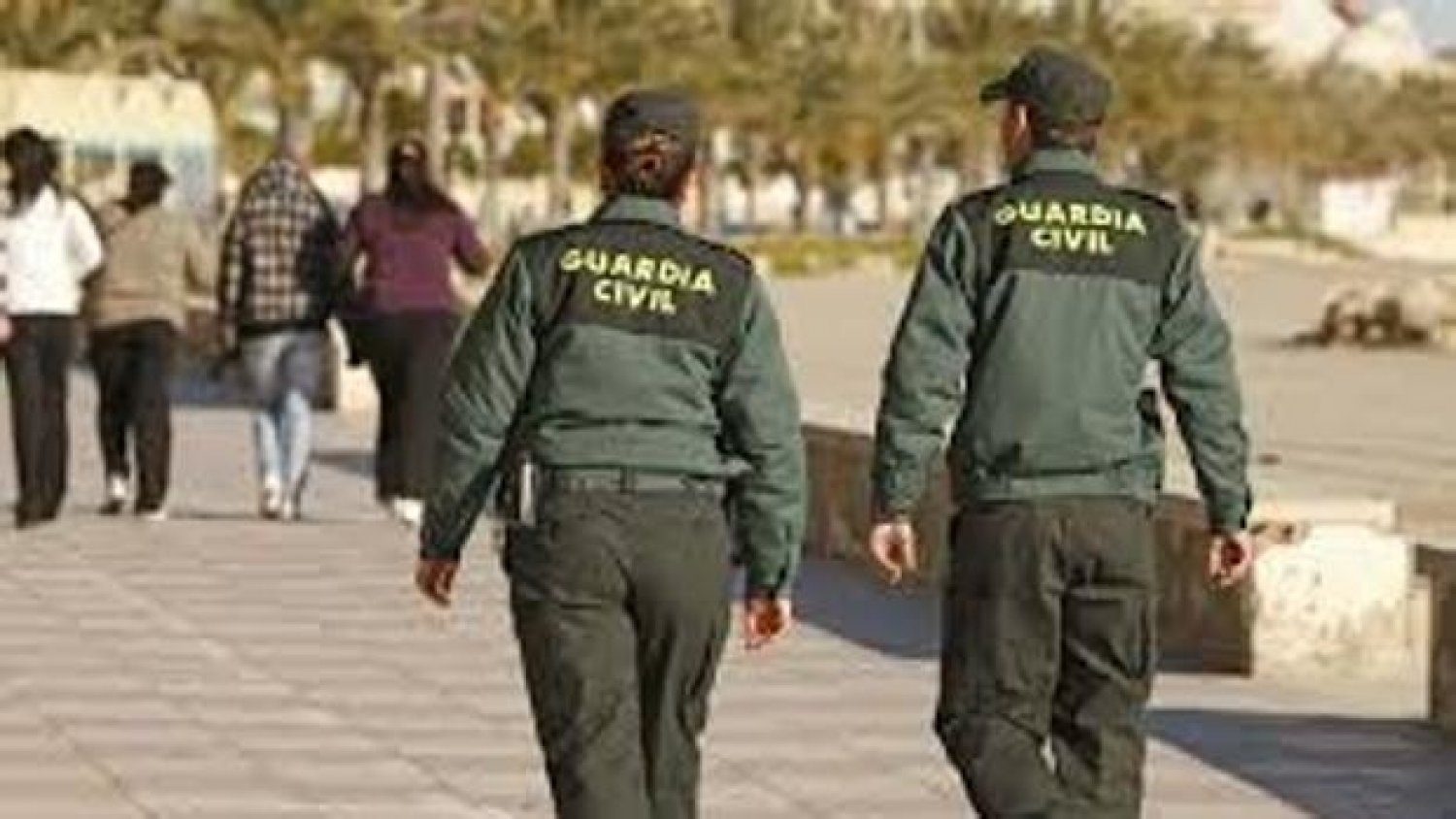 Muere un trabajador en Nerja tras caerle encima la palmera que talaba