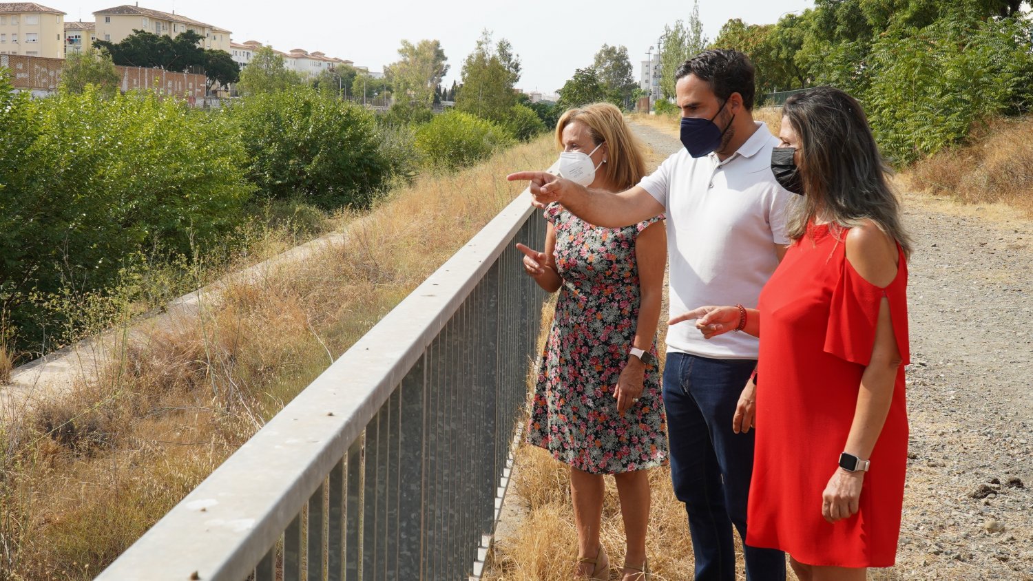 PSOE exige al Ayuntamiento la limpieza urgente del cauce del Guadalmedina