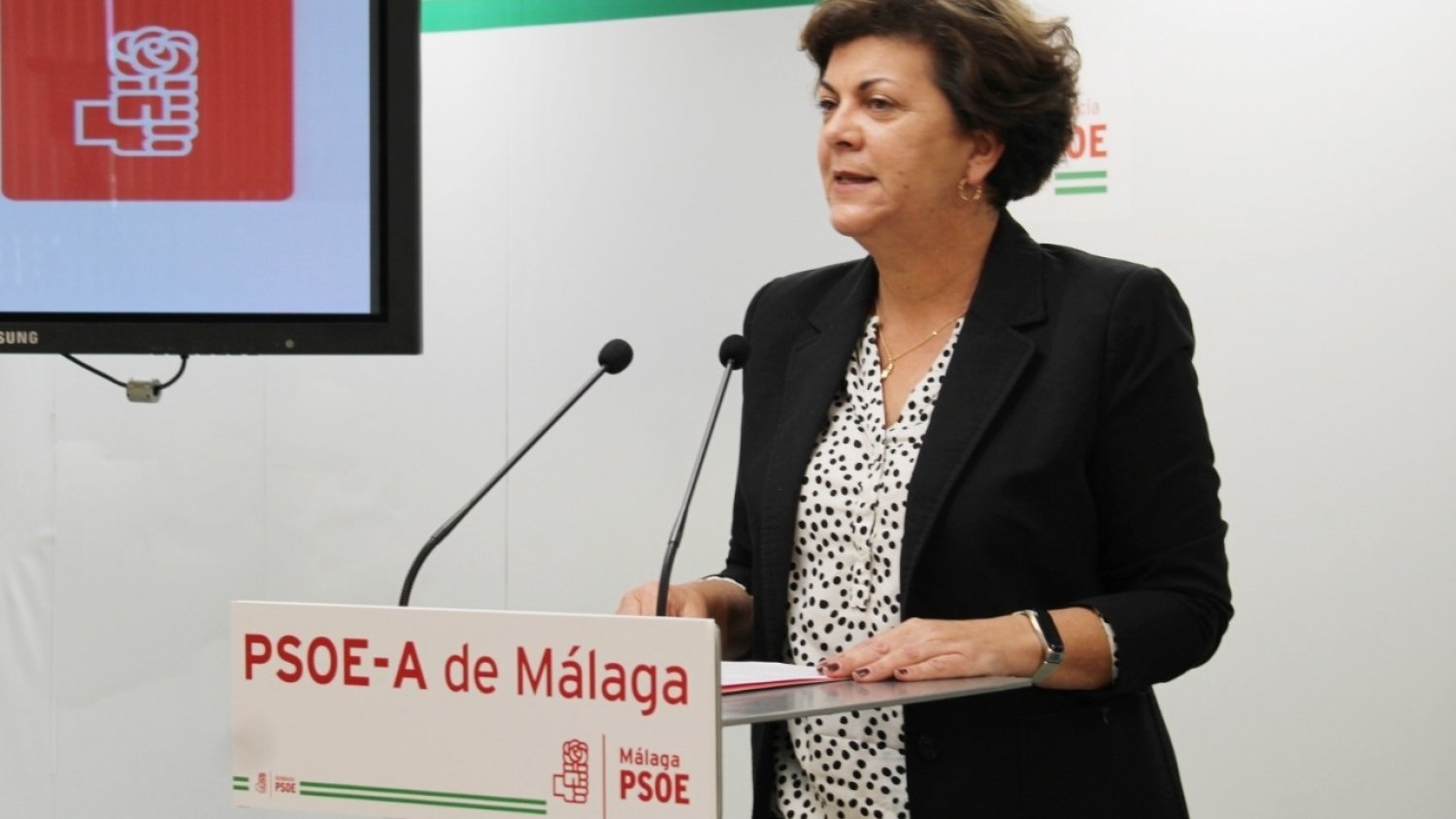PSOE destaca la inversión de más de 3,5 millones del gobierno para el aeropuerto de Málaga-Costa del Sol