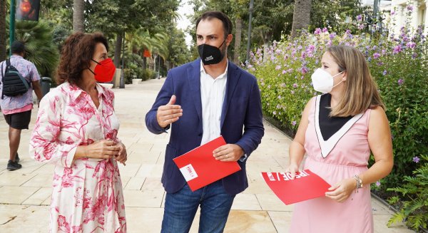PSOE urge a De la Torre y a Moreno iniciar los planes de empleo en la ciudad de Málaga