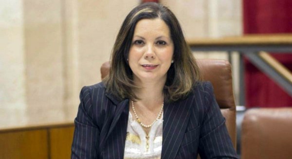 VOX reclama a la Junta acabar con el modelo intervencionista de acogimiento familiar