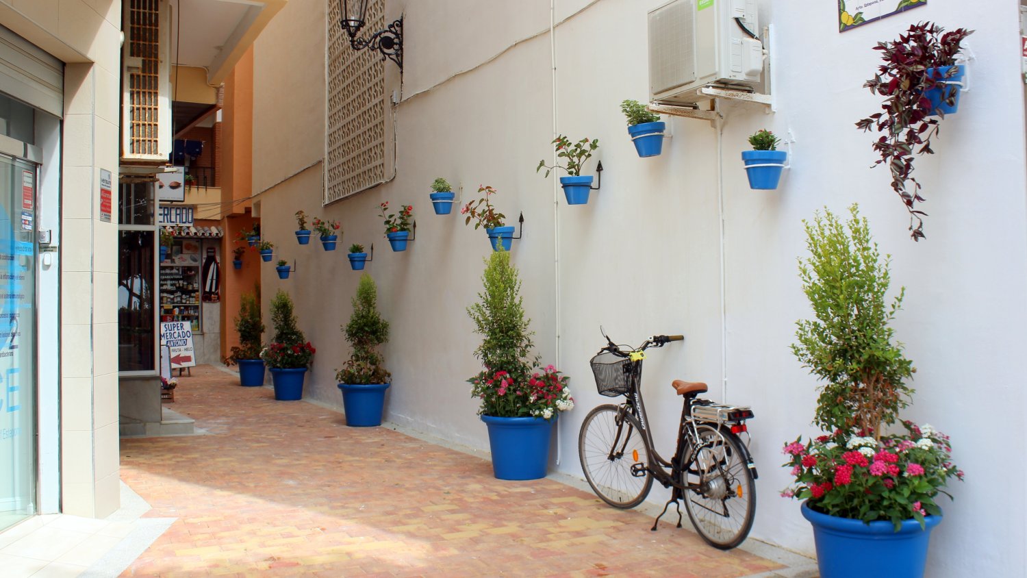 Ampliado el proyecto ‘Estepona, Jardín de la Costa del Sol’ al finalizar las obras de calle San Roque