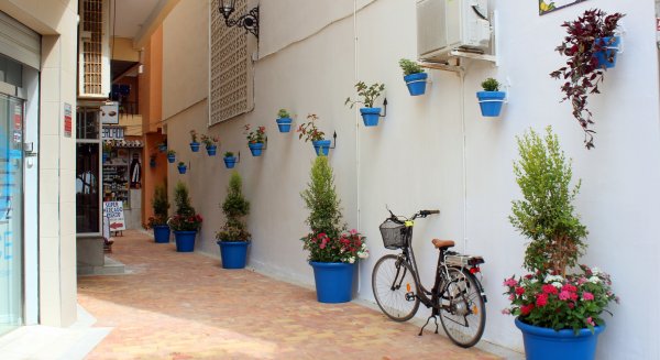 Ampliado el proyecto ‘Estepona, Jardín de la Costa del Sol’ al finalizar las obras de calle San Roque