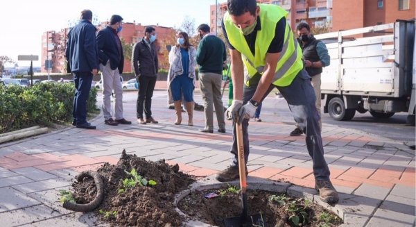 Unidas Podemos propone medidas para impulsar 'Barrios Verdes' frente a la emergencia climática