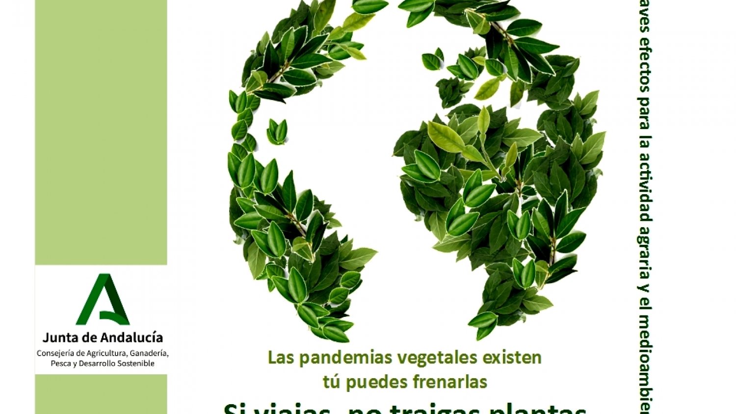 La Junta pide colaboración a los andaluces para evitar plagas perjudiciales para el campo