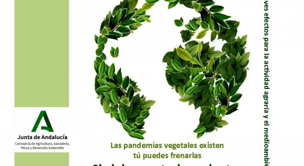 La Junta pide colaboración a los andaluces para evitar plagas perjudiciales para el campo