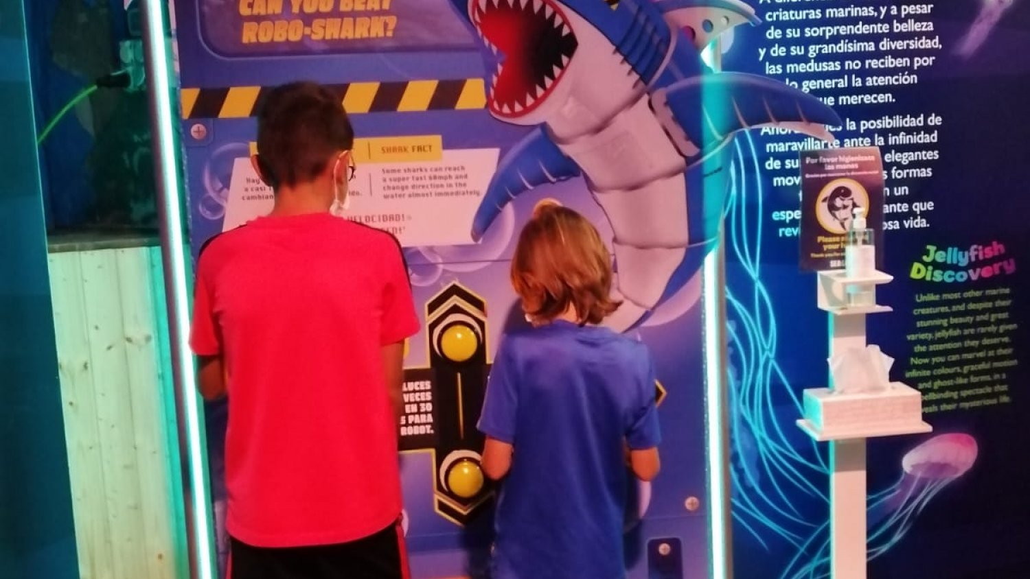 Sea Life Benalmádena impulsa con Sonic actividades para conservar el mundo marino