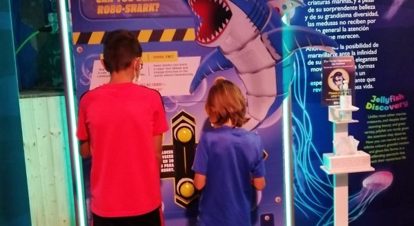 Sea Life Benalmádena impulsa con Sonic actividades para conservar el mundo marino