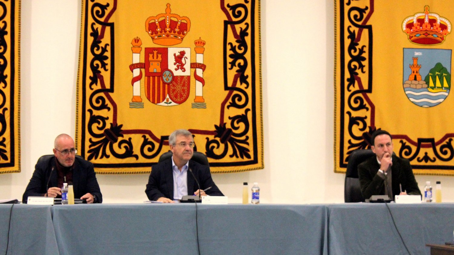 Estepona aprueba en Pleno la ordenanza sobre Zonas de Bajas Emisiones