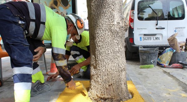 El Servicio de Intervención Viaria de Fuengirola resuelve más de 620 incidencias