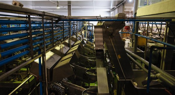 Cerca de 270 pymes invierten 208 millones en instalaciones y maquinaria más eficientes