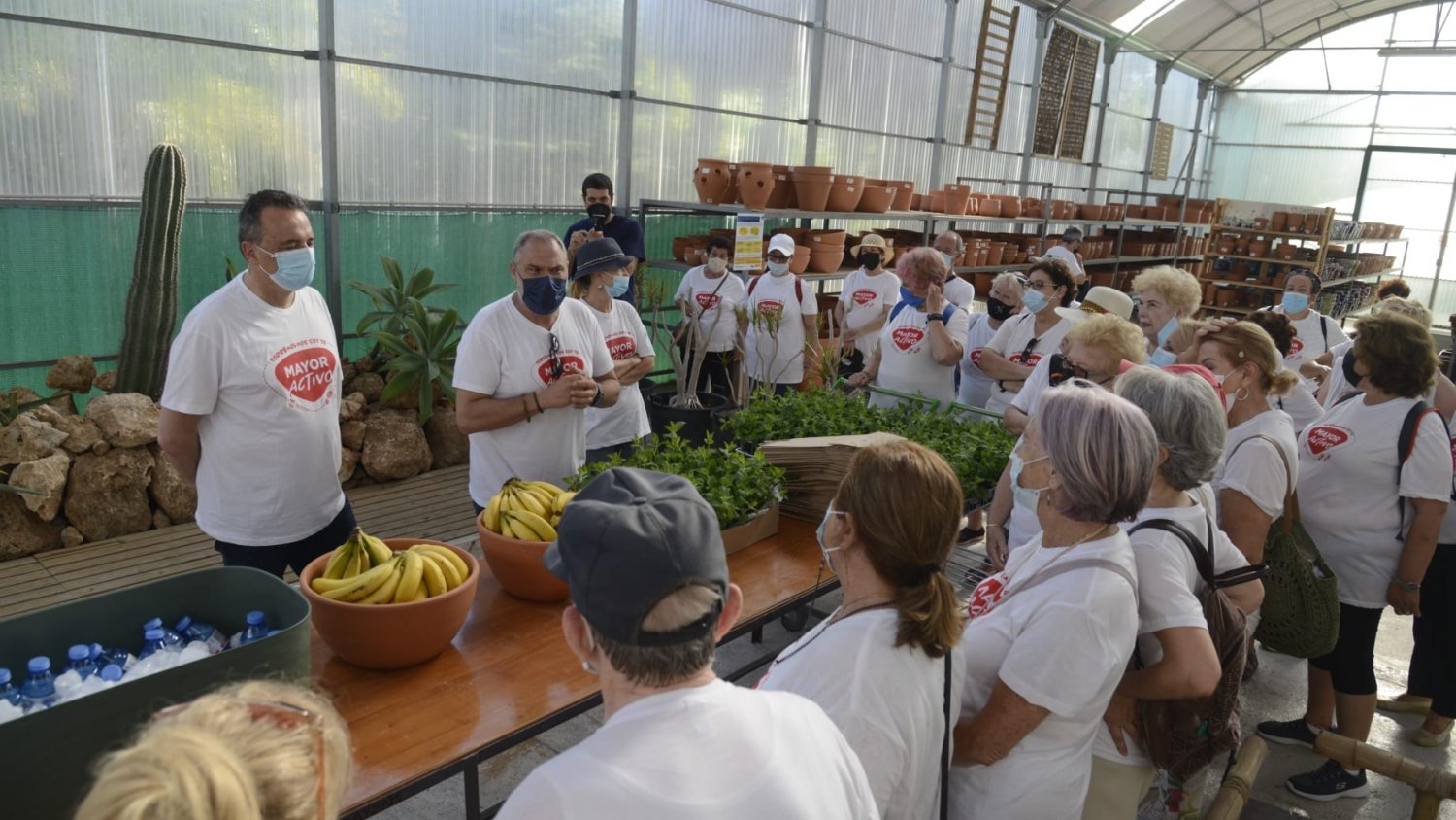 Torremolinos celebra su segunda caminata saludable dentro de la campaña “Mayor Activo”
