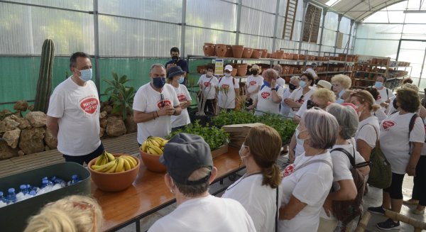 Torremolinos celebra su segunda caminata saludable dentro de la campaña “Mayor Activo”