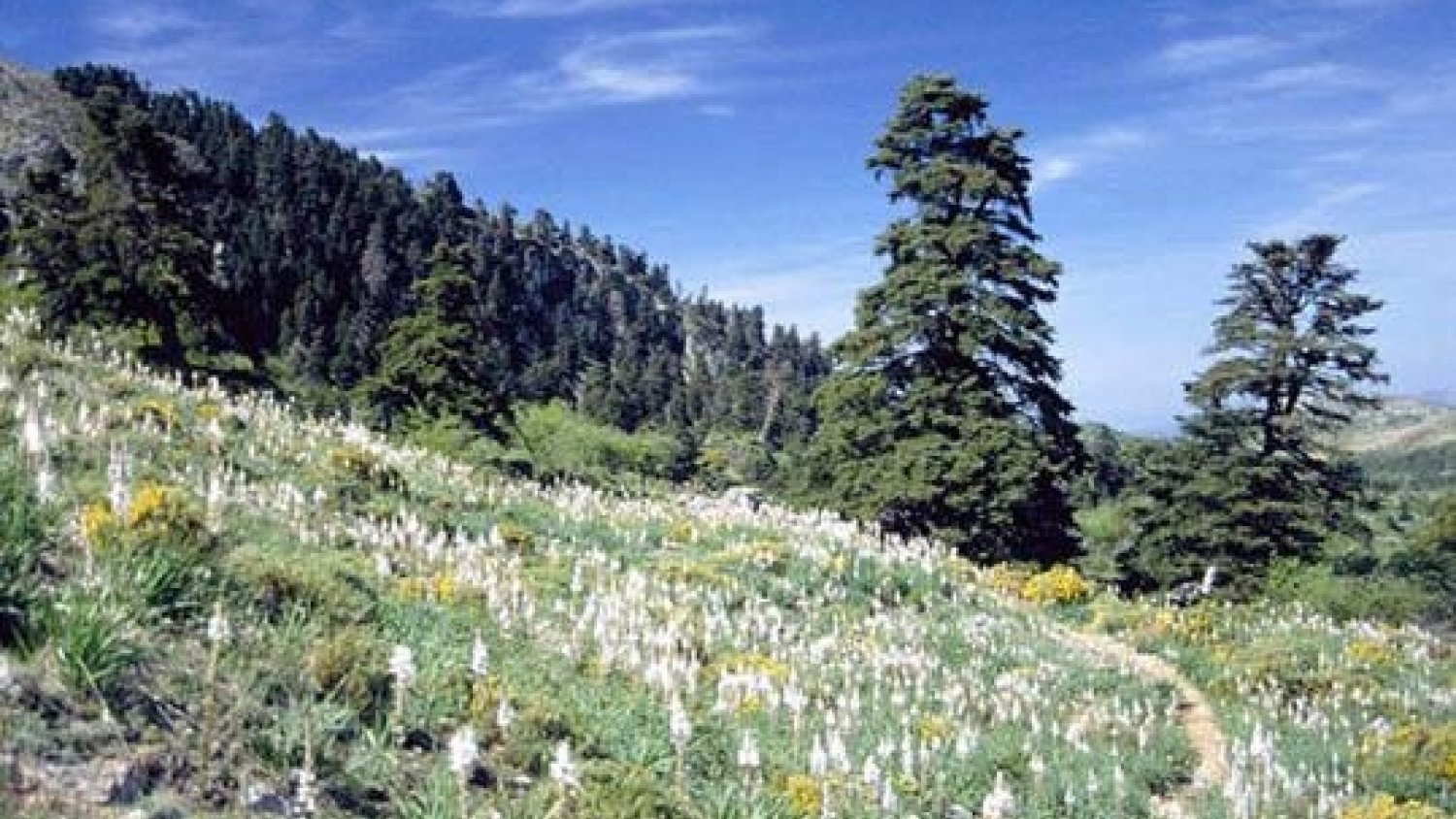 ASAJA Málaga mira con cautela la aprobación de Sierra de las Nieves como Parque Nacional