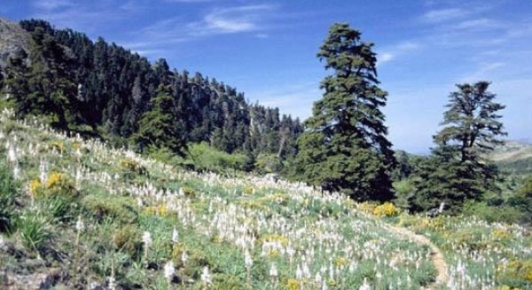 ASAJA Málaga mira con cautela la aprobación de Sierra de las Nieves como Parque Nacional