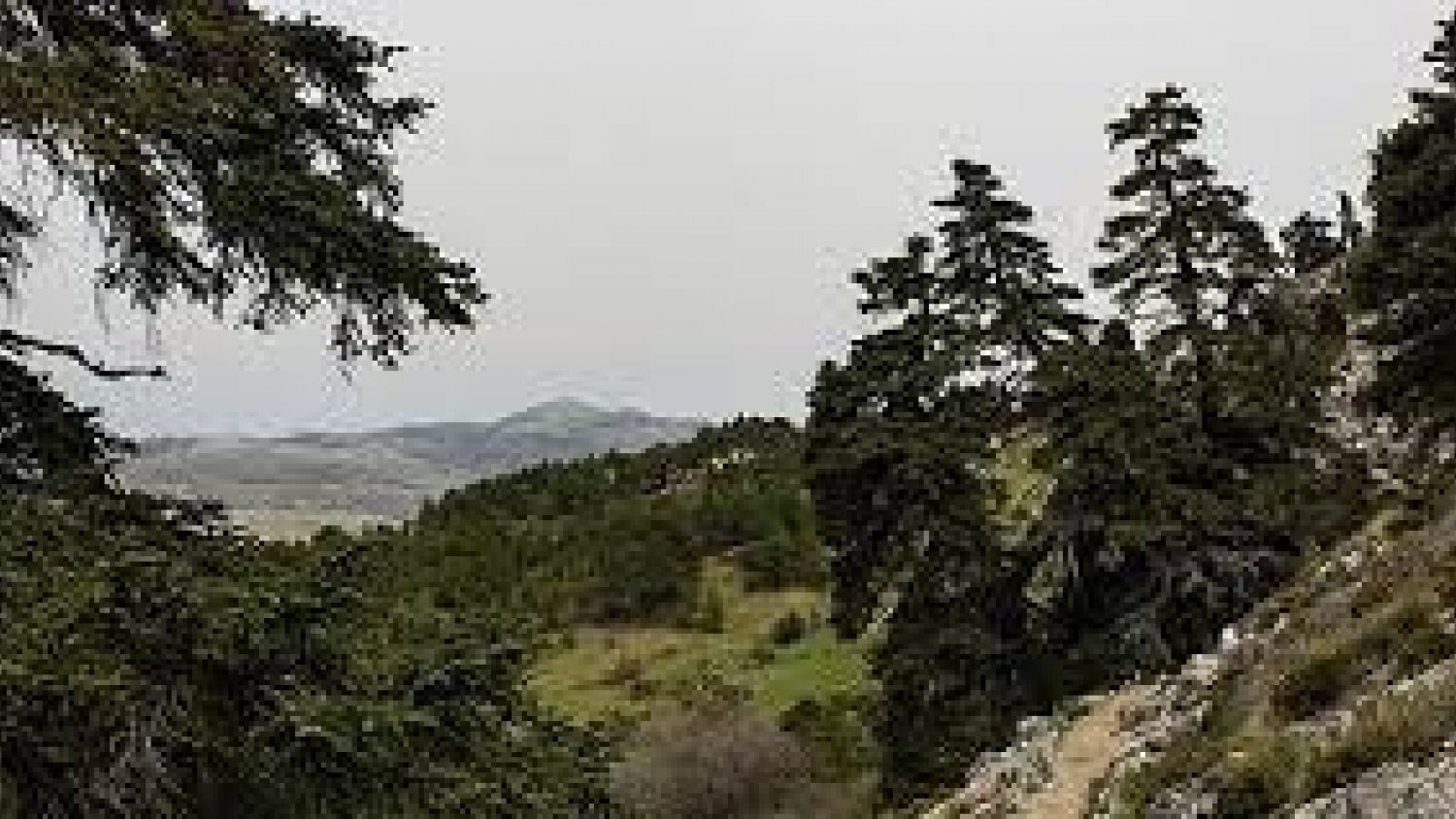 El Congreso de los Diputados aprueba el proyecto de ley del Parque Nacional Sierra de las Nieves