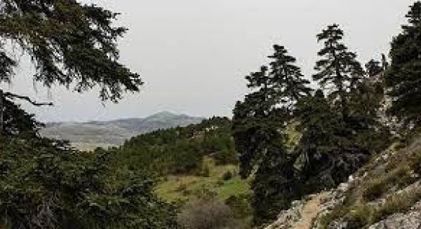 El Congreso de los Diputados aprueba el proyecto de ley del Parque Nacional Sierra de las Nieves