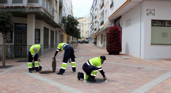 Estepona intensifica los trabajos de desinsectación y desratización de las plagas de insectos