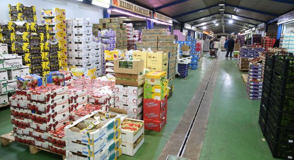 Mercamálaga registra un incremento del 18,13% en la comercialización respecto al ejercicio anterior