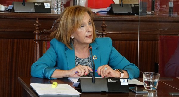 PSOE lamenta la iniciativa del PP para proteger a las aves en la ciudad de Málaga