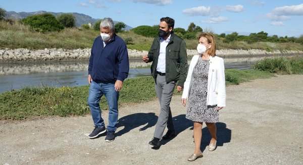 PSOE exige al Ayuntamiento de Málaga que proteja las aves en cría en la ciudad de Málaga