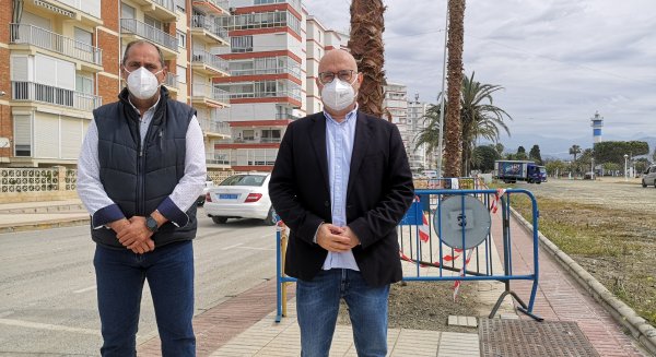 Medio Ambiente inicia un plan de renovación de palmeras en varias zonas de Torre del Mar