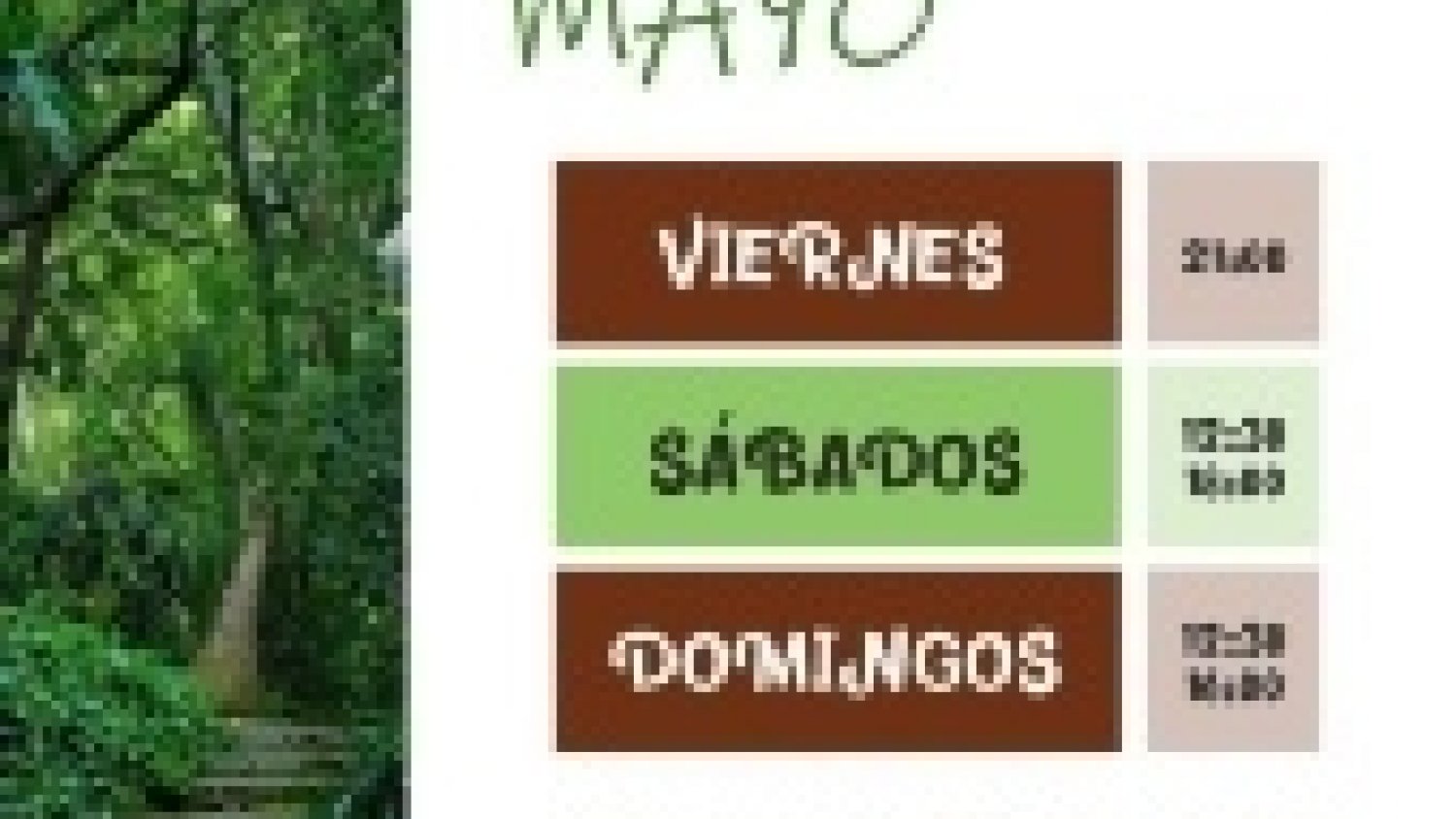 El Jardín Botánico La Concepción organiza en mayo actividades por el Día Mundial de las Abejas