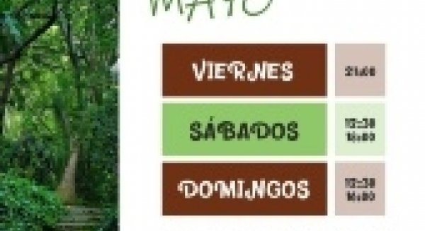 El Jardín Botánico La Concepción organiza en mayo actividades por el Día Mundial de las Abejas