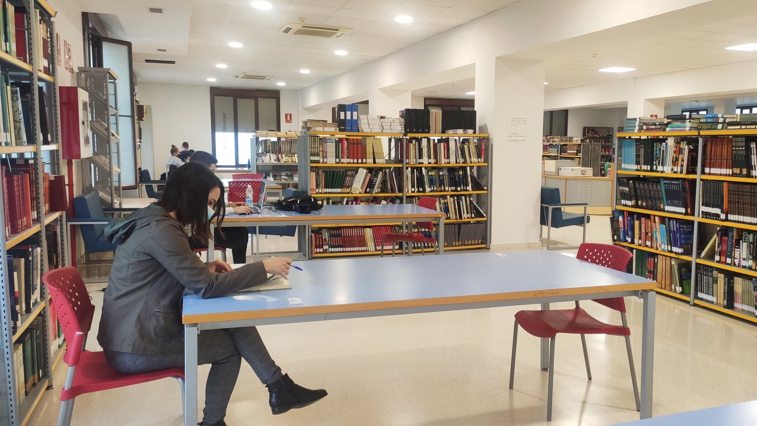 Estepona amplía los fondos de la Biblioteca Municipal con más de 2.500 libros durante 2020