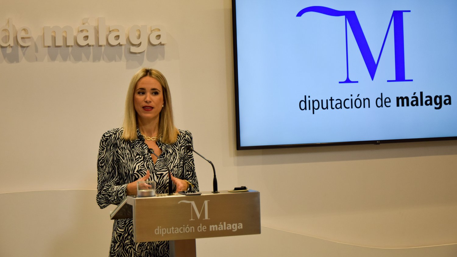 El PSOE de Málaga pide paralizar las ofertas de empleo público en Diputación