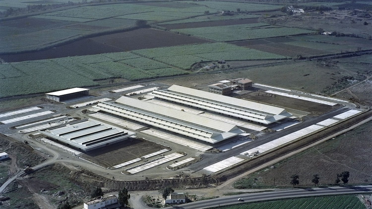 Mercamálaga cumple 40 años liderando el mayor mercado mayorista de Andalucía oriental
