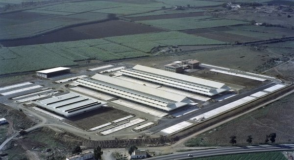 Mercamálaga cumple 40 años liderando el mayor mercado mayorista de Andalucía oriental