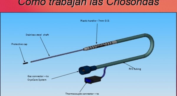 El urólogo malagueño Torrecillas presente en el Congreso Internacional de ginecología del Hospital HM