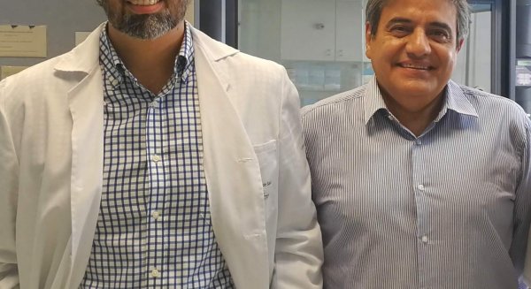 Investigadores de IBIMA evalúan tratamientos para los niveles bajos de testosterona en varones con obesidad