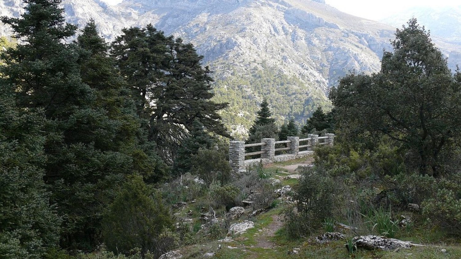 PSOE pide a Cs reconsiderar la salida de Guaro de la Mancomunidad de Municipios Sierra de las Nieves