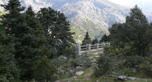 PSOE pide a Cs reconsiderar la salida de Guaro de la Mancomunidad de Municipios Sierra de las Nieves
