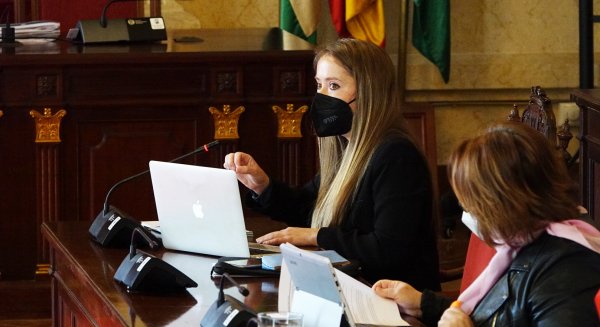 PSOE lamenta que PP y Ciudadanos vuelvan a cargar contra el pequeño comercio de Málaga
