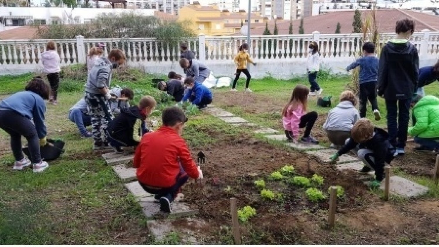 Medio Ambiente acerca los huertos ecológicos a los centros escolares de Rincón de la Victoria