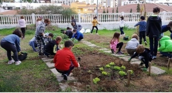 Medio Ambiente acerca los huertos ecológicos a los centros escolares de Rincón de la Victoria
