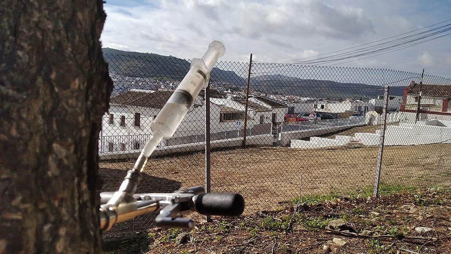 Antequera completa el control de plagas de procesionaria en los 750 ejemplares de pinos