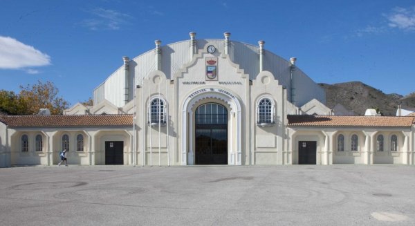 Torremolinos propone nueve instalaciones municipales como puntos de vacunación contra el Covid-19