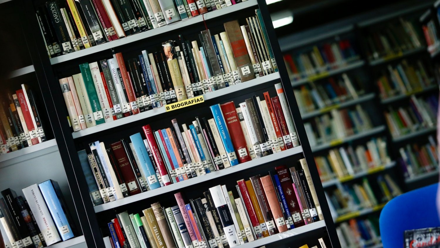 La Junta destina más de 200.00 euros para la adquisición de lotes bibliográficos a 100 bibliotecas de la provincia
