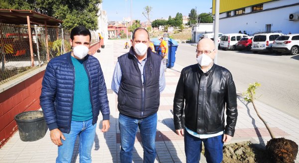 Medio Ambiente en Vélez-Málaga continúa con su campaña de reposición de árboles en el municipio