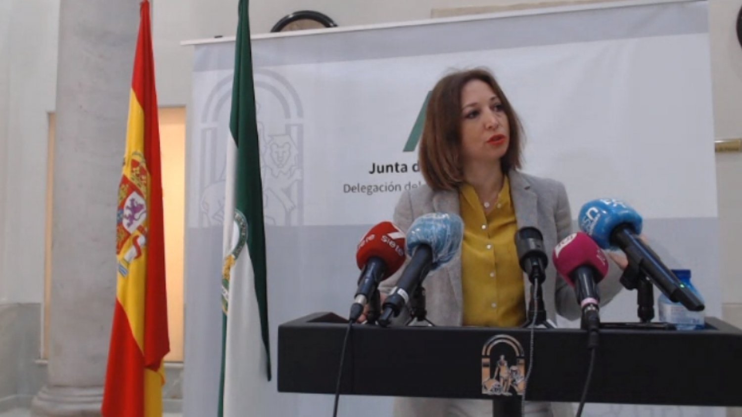 Patricia Navarro informa que Málaga y Marbella recuperan su actividad no esencial a partir del sábado