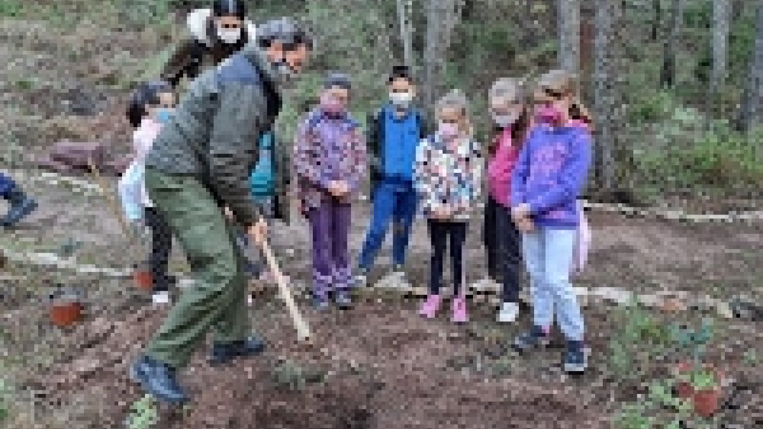 El CEIP San Agustín de la localidad malagueña de El Burgo planta pinsapos como actividad escolar