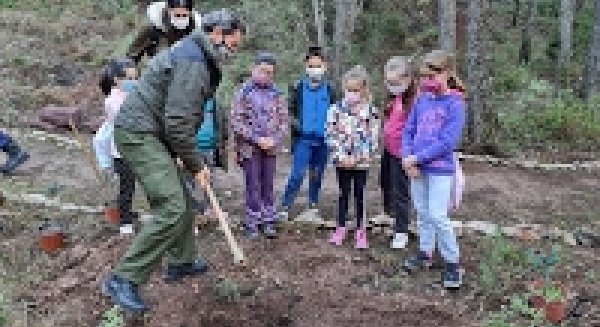 El CEIP San Agustín de la localidad malagueña de El Burgo planta pinsapos como actividad escolar