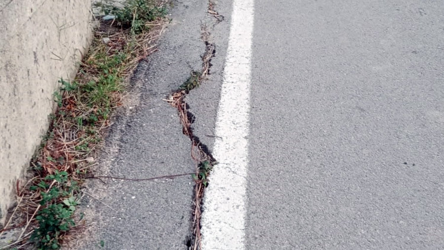 PSOE exige a la Diputación el arreglo de la carretera que une El Colmenar y Gaucín
