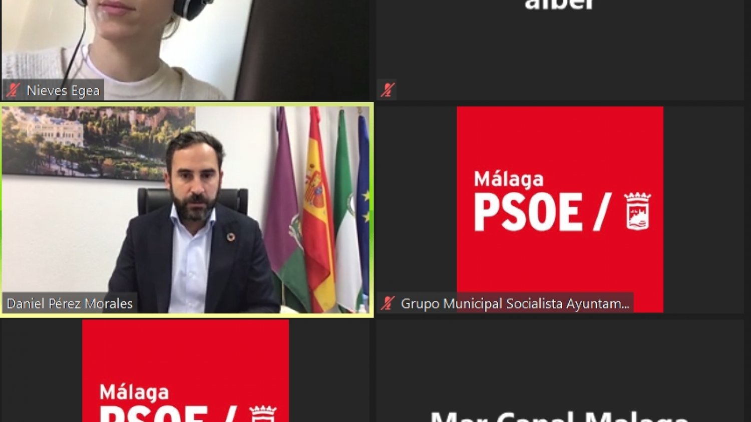 PSOE considera que el plan de recuperación de la ciudad de Málaga 